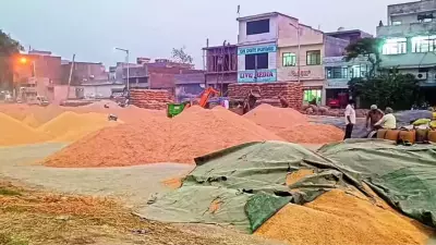 Punjab's Wheat Harvest Faces Crisis as Commission Agents Announce Strike