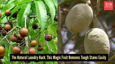 Reetha and Hingot: India's Ancient Eco-Friendly Laundry Secrets Rediscovered