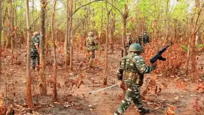 Security Forces Seize Major Maoist Arms Cache in Odisha's Kandhamal Forest