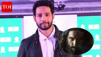 Siddhant Chaturvedi Praises Ranveer Singh's Spy Role in Dhurandhar Saga