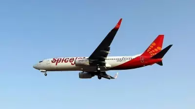 SpiceJet to Operate 14 Special Flights from UAE on Friday Amid High Demand
