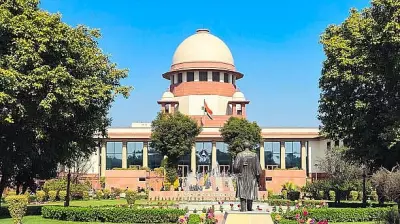 Supreme Court Demands Accountability on Acid Attack Victim Rehabilitation