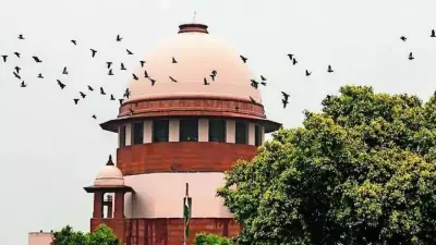 Supreme Court Ends 41-Year-Old Smuggling Case, Spares Aged Accused Further Jail