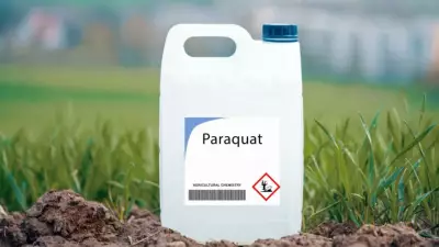 Teen's Death from Paraquat Poisoning Sparks Nationwide Ban Demands in India