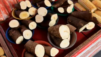 The Surprising Truth About Sabudana: From Cassava Root to Tapioca Pearls