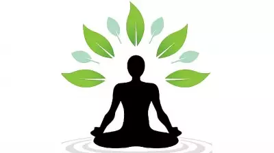 The Urgent Quest for Self-Realization in Modern Life