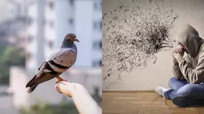 Vedic Astrology Warns: Pigeons in Home Carry Shani & Rahu Doshas, Disrupt Energy