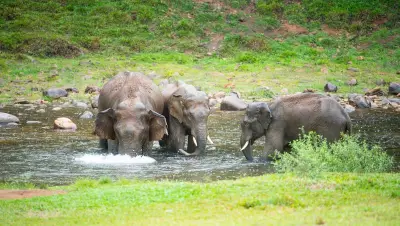 Vice President Radhakrishnan Unveils Drone for Elephant Tranquilization in India