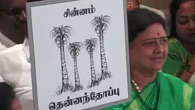 VK Sasikala Launches New Political Party: All India Puratchi Thalaivar Makkal Munetra Kazhagam