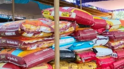 West Asia Crisis Chokes Karnataka Rice Exports, Leaving Mills in Distress