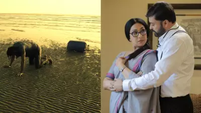 West Bengal Elections: Tollywood's Political Cinema Shifts Focus from Collective Struggle to Individual Agency