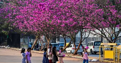 Yugadi in Karnataka: Nature's Canvas Painted with Cultural Significance