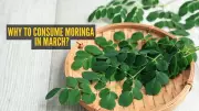 10 Ways to Add Moringa to Daily Meals in March and Why It's the Perfect Time