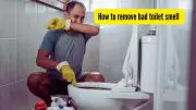 5 Instant Solutions to Eliminate Bad Toilet Odor and Keep Your Bathroom Fresh