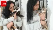 Actress Shivani Gosain's Journey from Dog Lover to Devoted Cat Mom of Four