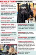 Ahmedabad Crime Branch Busts Major Exotic Animal Breeding Racket in Residential Flat