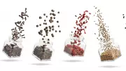 AI Enters the Kitchen: Can Algorithms Predict Perfect Spice Pairings?