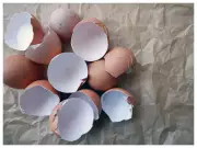 AKU Patents Eggshell-Based Water Filter, Aims to Tackle Global Water Crisis