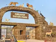 Ambardhi Safari Park Sees 18.6% Visitor Surge, Emerges as Alternative to Sasan Gir
