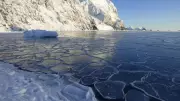 Antarctica: The World's Largest Desert Where Heatwaves Are Impossible