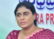 APCC Chief Sharmila Reddy Alleges Uncle Murdered for Kadapa MP Ticket