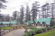 Army Rededicates Shradhanjali Sthal in Shimla, Unveils 52-Foot National Flag