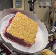 Astronaut Shukla Shares Space Cake Video, Emphasizes Global Citizenship