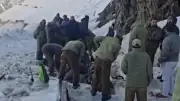 Avalanche at Zoji La Kills Seven, Blocks Srinagar-Leh Highway in Ladakh