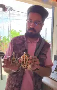 Baddi Shopkeeper Arrested for Illegally Keeping Protected Indian-Roofed Turtles