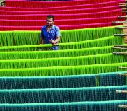 Bengaluru's Cultural Renaissance: How Multi-Day Festivals Are Redefining the City's Identity