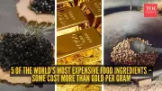 Beyond Restaurants: The World's Most Expensive Ingredients Revealed