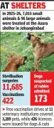 Bhopal's Dog Sterilization Drive Stalls Despite Infrastructure Expansion