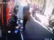 CCTV Footage Goes Viral as Donation Box Stolen from Chennai Sai Baba Temple