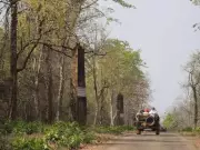 Chandrapur's Historic Pillars May Be Bhonsle Era, Not British: New Study