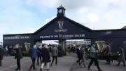 Cheltenham Festival Faces Major Travel Chaos as Trespasser Disrupts Rail Services