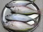 Chennai Seafood Crisis: Pre-Ban Shortage Sends Prices Soaring Amid Cylinder Costs