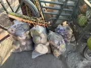 Chennai Tender Coconut Vendors Struggle as Green Waste Collection Halts