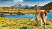 Chile Crowned Best International Destination: 5 Reasons It's Trending in 2026