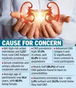 Chronic Kidney Disease Epidemic Uncovered in Andhra Pradesh: 60% Affected, 98% Unaware