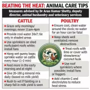 Coastal Karnataka Heatwave Threatens Livestock Health and Economy