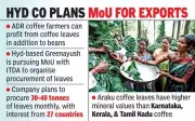 Coffee Farmers in Andhra Pradesh to Profit from Leaves, Not Just Beans