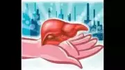 Deceased Dombivli Man's Liver Transplant Saves Two Lives in Mumbai