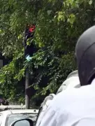 Delhi Traffic Advisory: Navratri Celebrations to Disrupt Key Routes from March 19-27