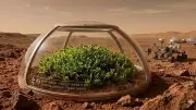 Desert Moss Could Terraform Mars: Survives -196°C, Radiation, Dehydration