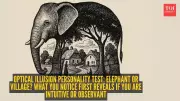 Elephant or Village? Your First Glimpse Reveals Your Personality Type