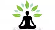 Exploring Self-Realization Through Assertion and Negation in Philosophy