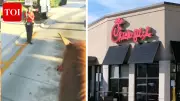 Florida Man Rides Horse Through Chick-fil-A Drive-Through, Stuns Staff