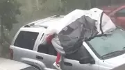 Florida Man's Viral Hailstorm Heroics: Protecting Car Amid Severe Weather