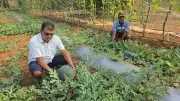 Goan Youth's Farming Model Yields 4x Returns, Inspires Self-Reliance Mission