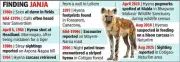 Goa's Nocturnal Howls Fade: Striped Hyena and Jackal Populations Decline